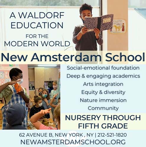 New Amsterdam School