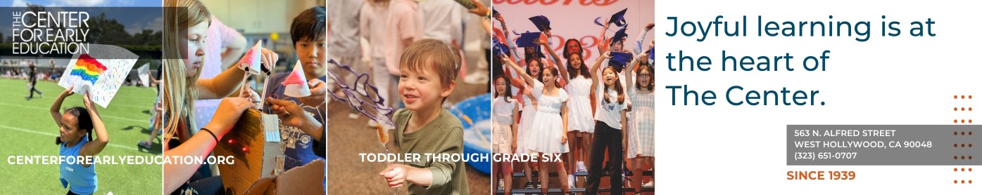 Center For Early Education Banner