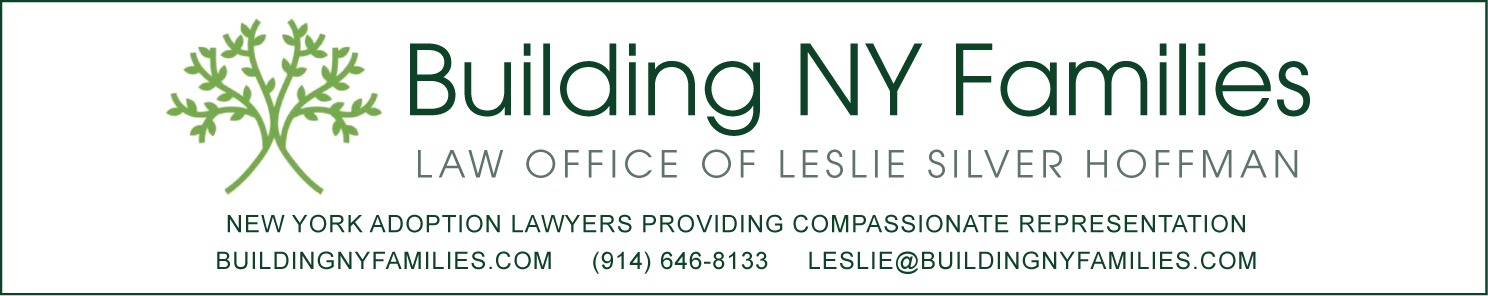 Building NY Families banner